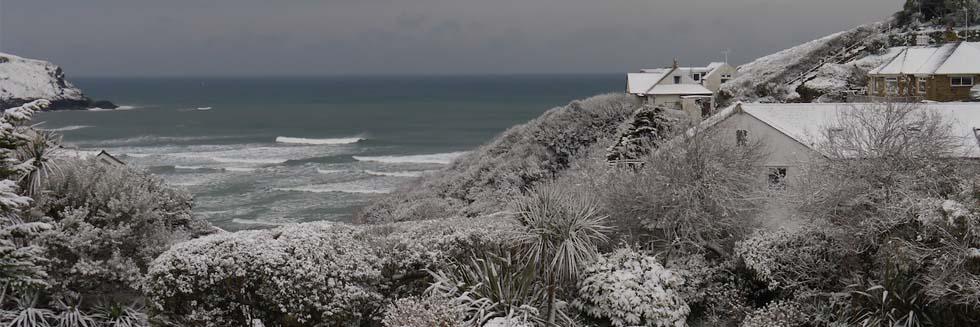 Available all year round